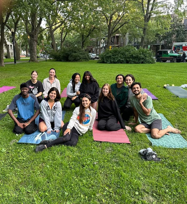 Yoga In The Park (Montreal)